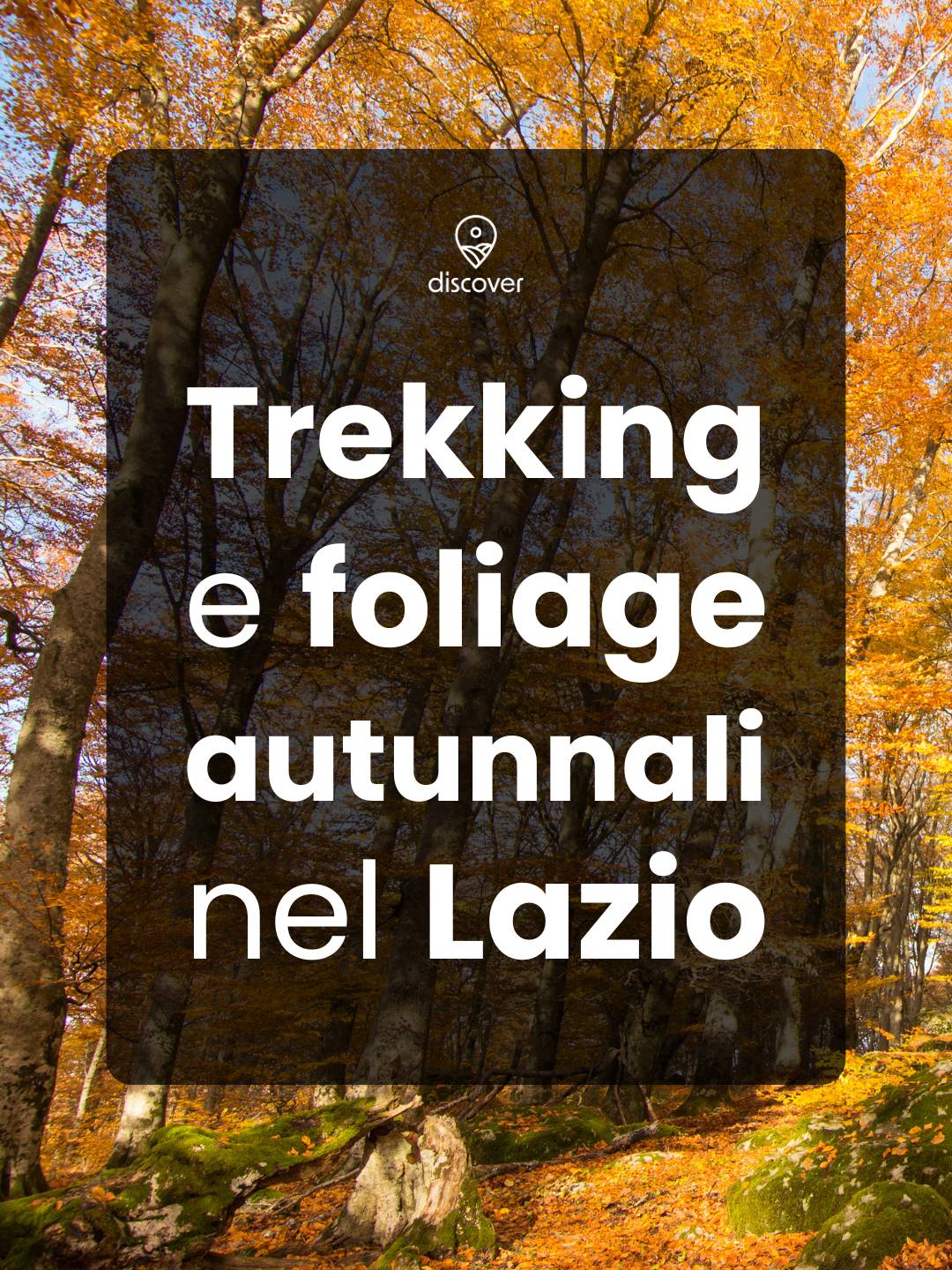 Trekking Autunnali nel Lazio: Un'esplosione di colori nella natura - Discover Experience