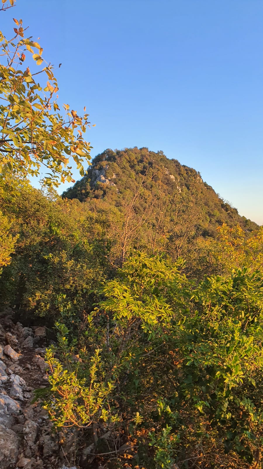 Alla conquista del Soratte, il Sacro Monte di Roma - Discover Experience