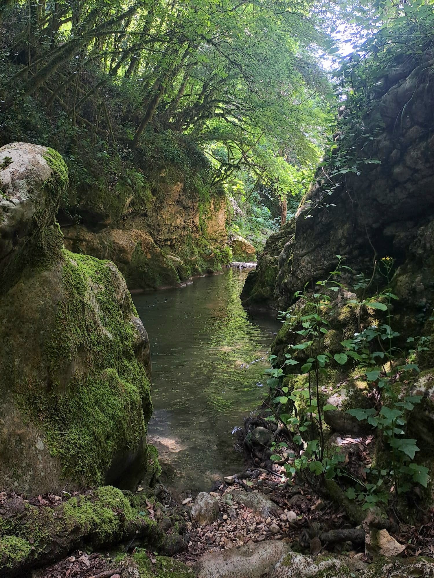 Trekking Lazio Gole del Farfa