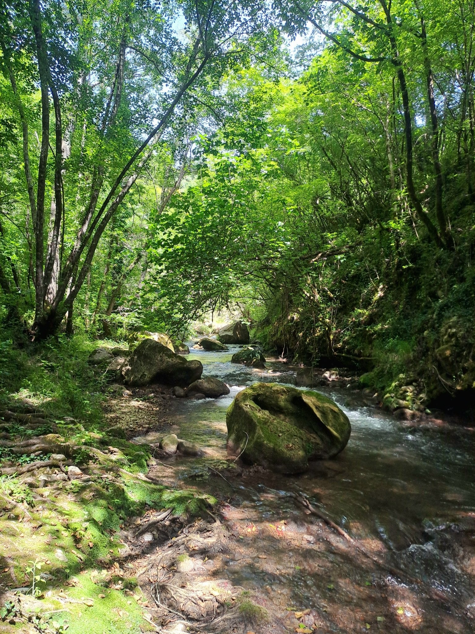 Escursione Gole del Farfa