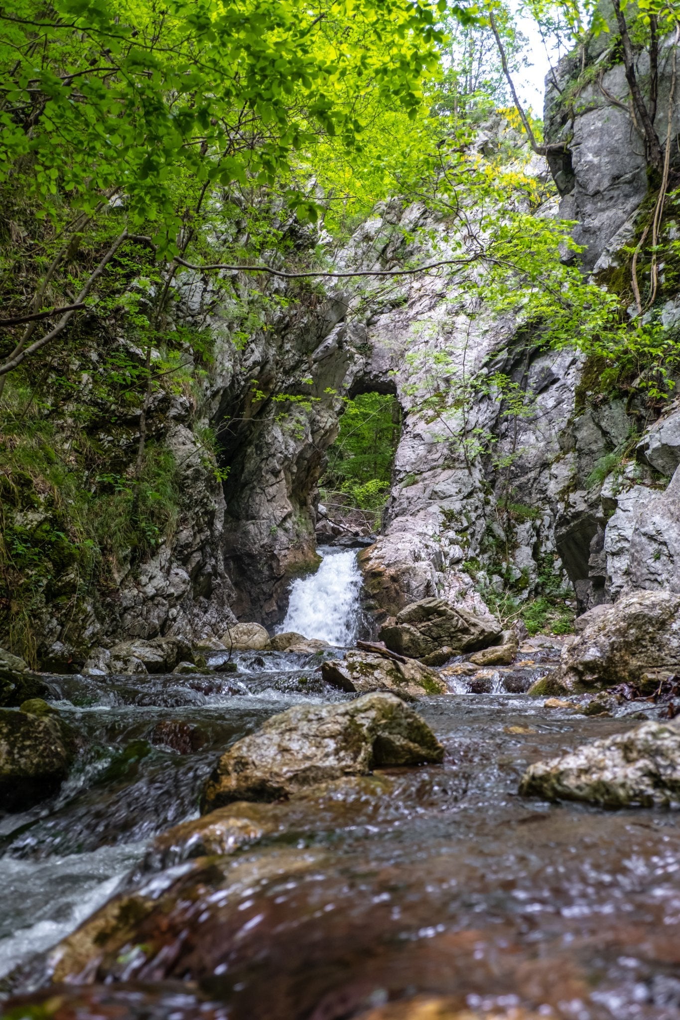 Trekking di gruppo Monti Ernici