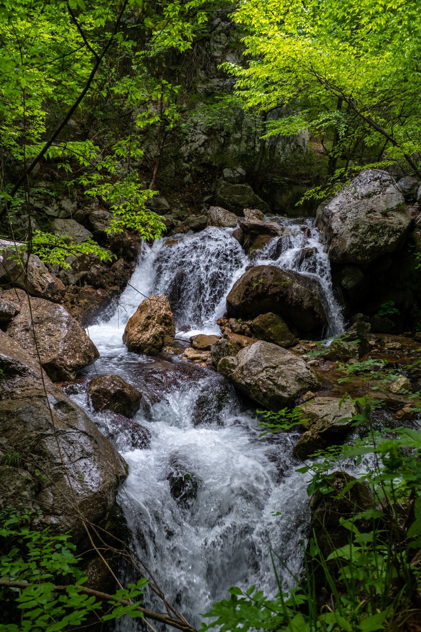 Trekking Discover Experience Cascate di Capofiume