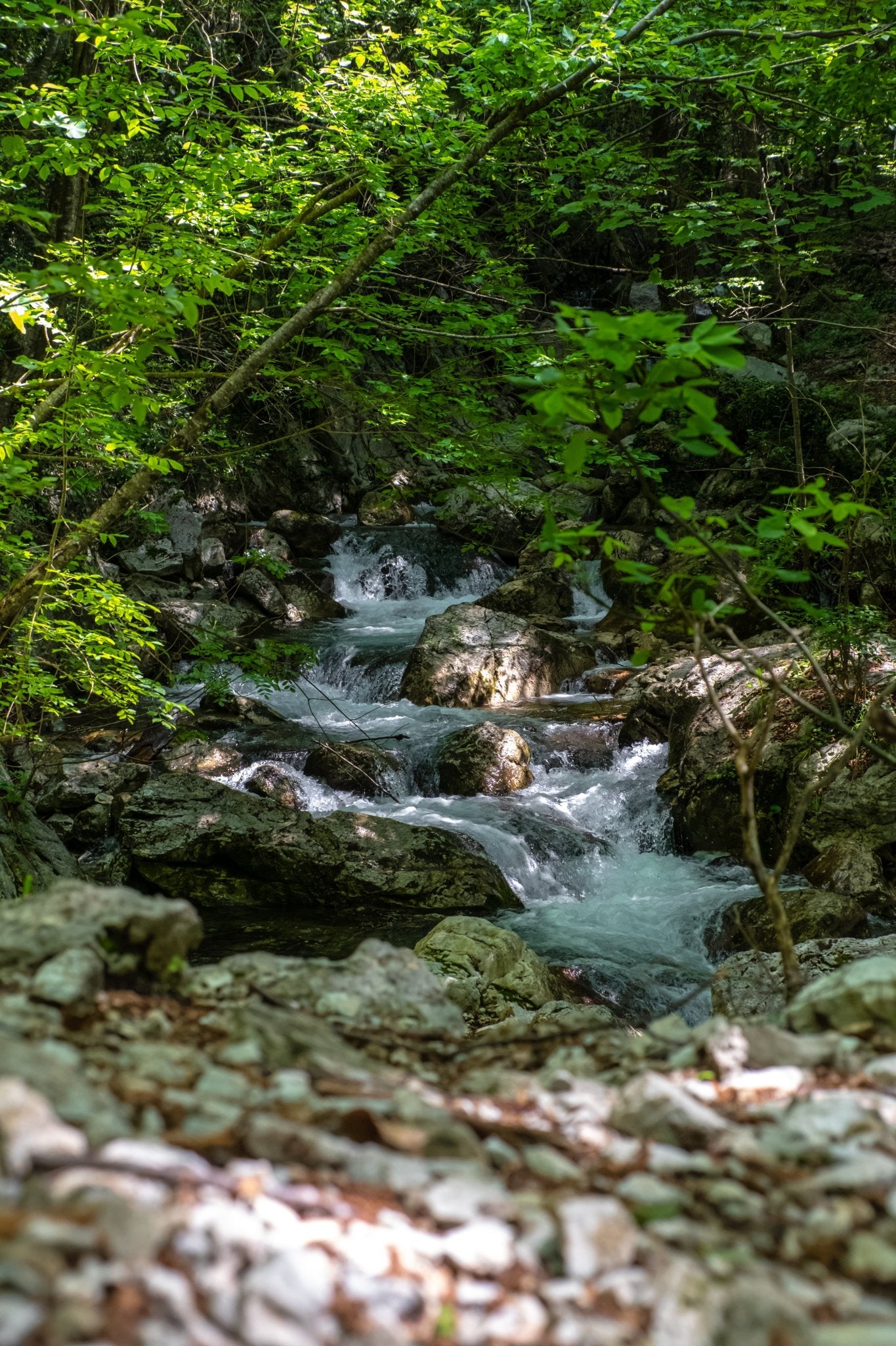 Trekking guidato Cascate di Capofiume