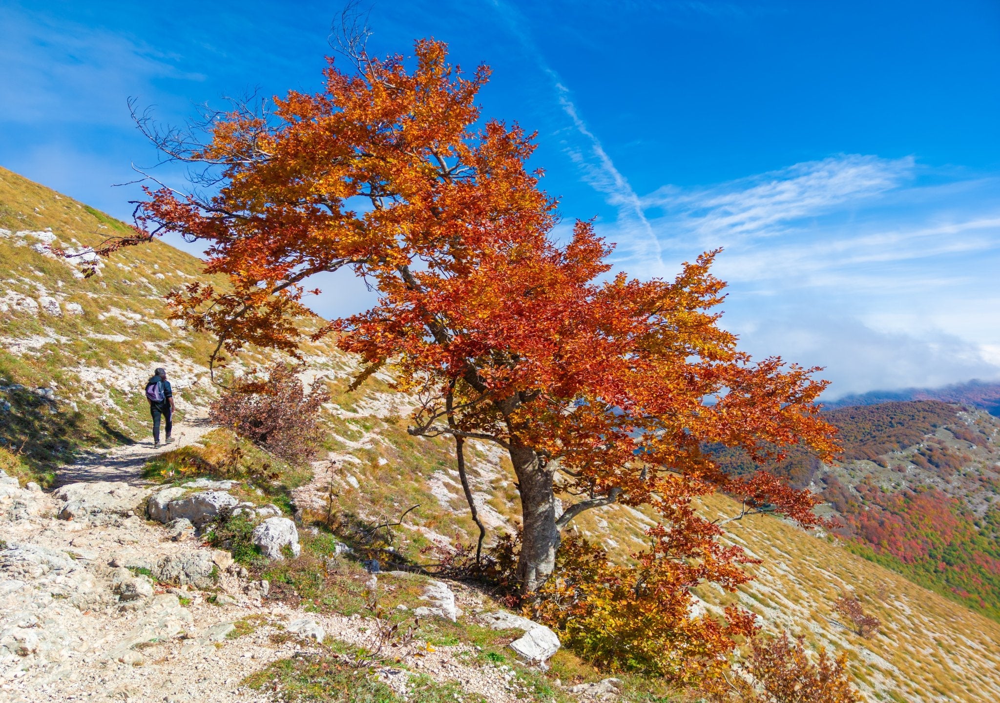 Monte Livata foliage trekking