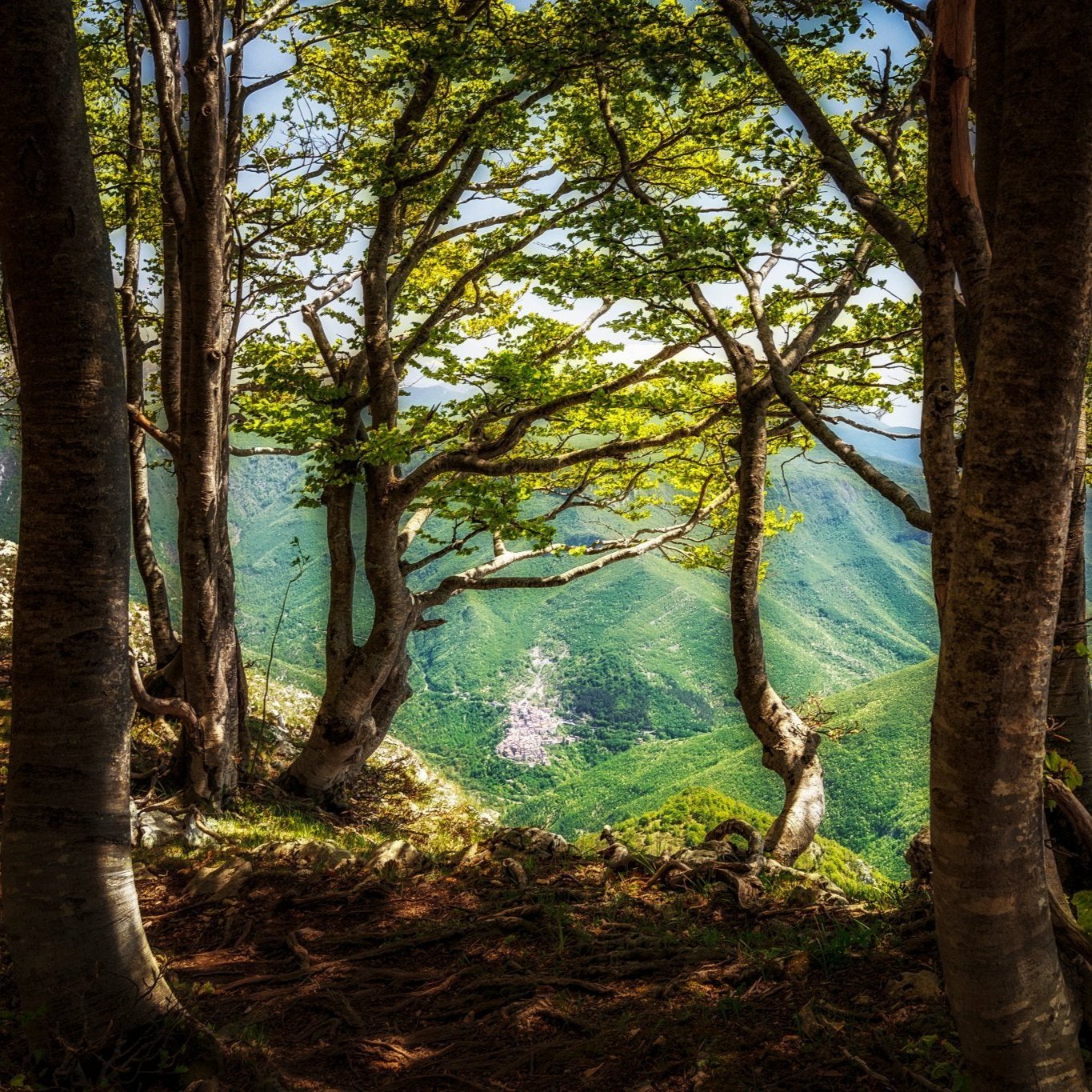 Monte Livata escursione guidata