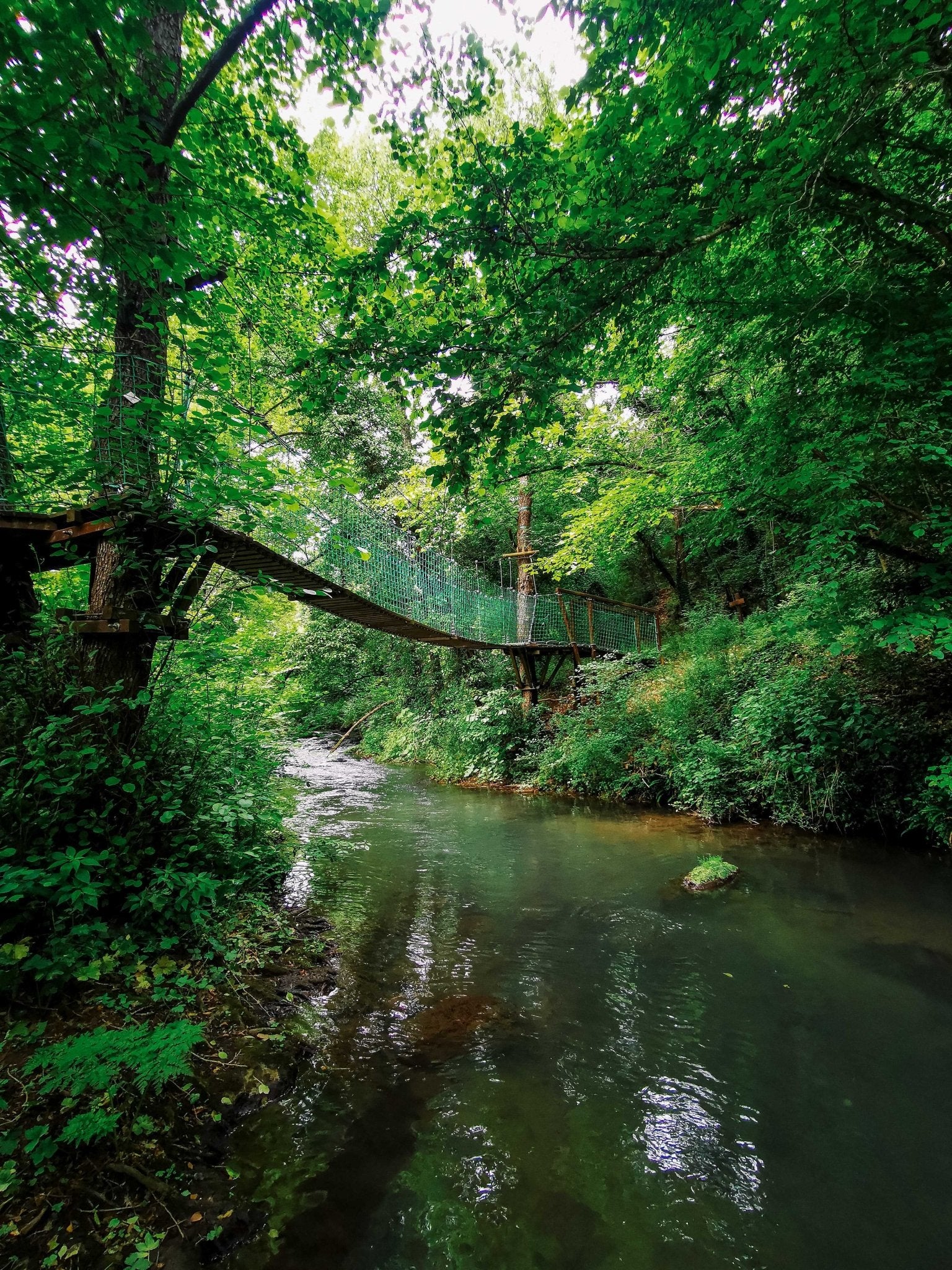 Trekking ad anello nella Valle del Treja - Discover Experience