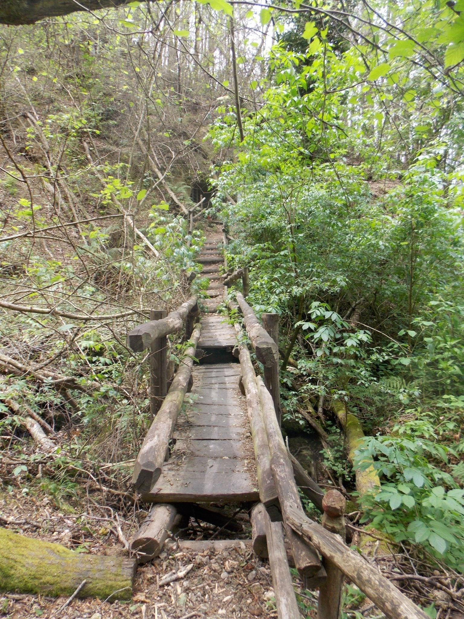 Trekking Monterano Discover Experience