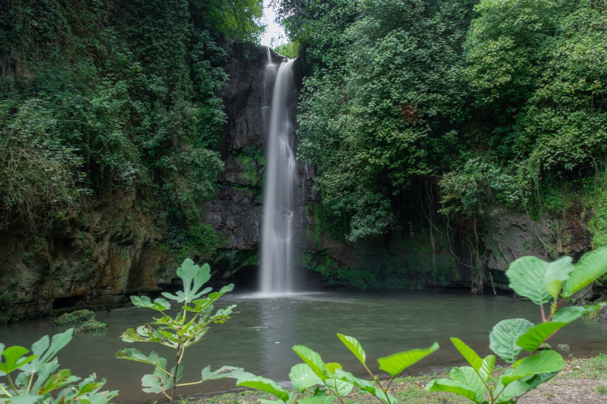 Trekking nella Tuscia Laziale tra Nepi e Castel Sant’Elia - Discover Experience