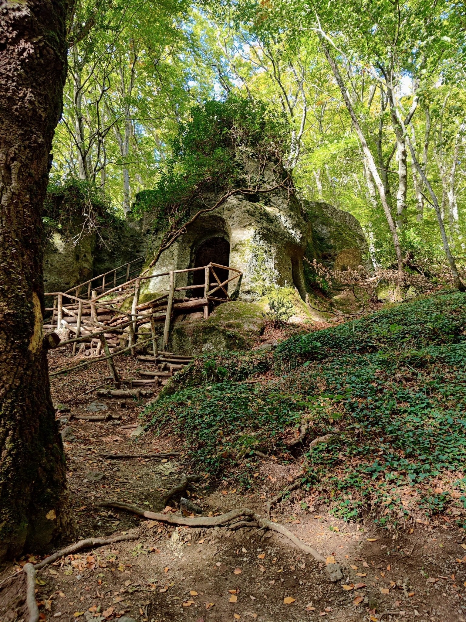 Trekking Panoramico all'Eremo di S. Girolamo e Monte Fogliano - Discover Experience