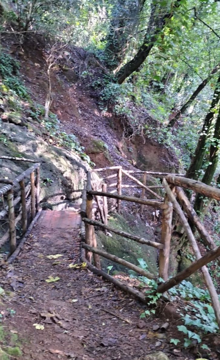 Trekking storico tra le forre di Corchiano: sulle orme dei Falisci - Discover Experience