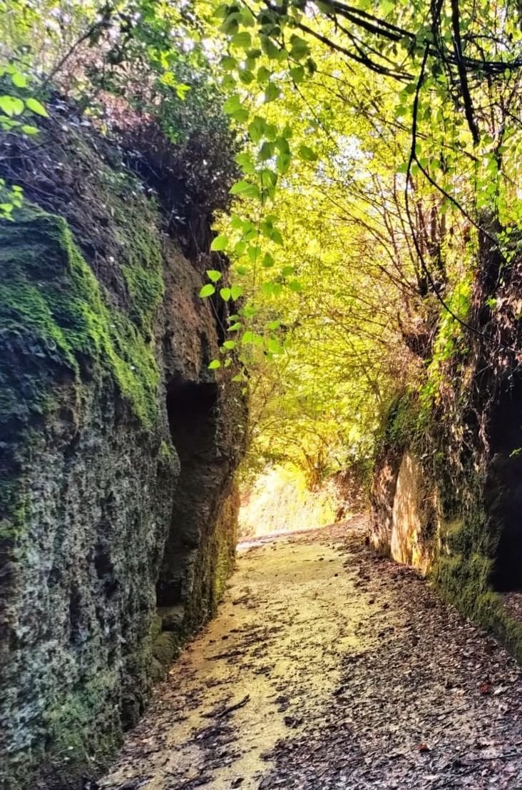 Trekking storico tra le forre di Corchiano: sulle orme dei Falisci - Discover Experience