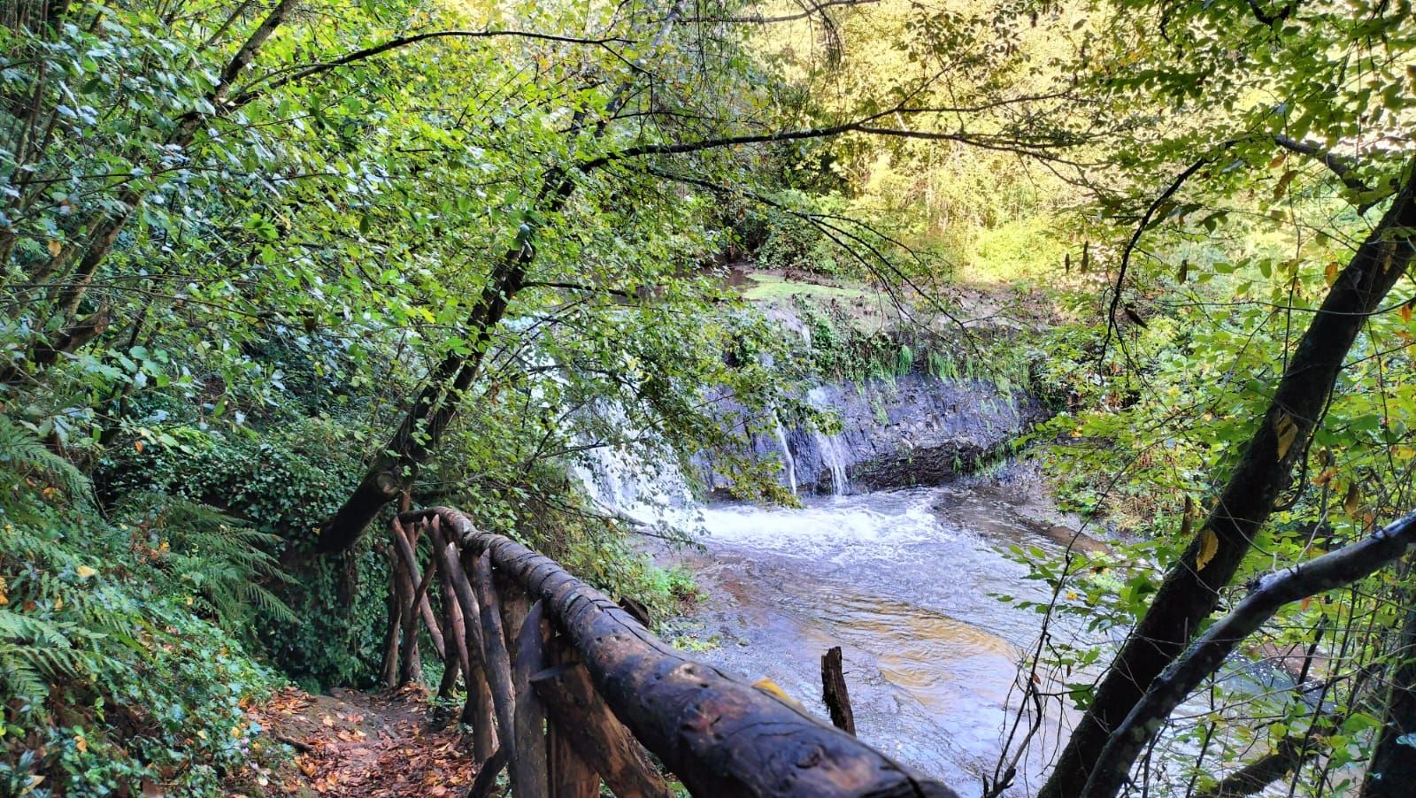 Trekking storico tra le forre di Corchiano: sulle orme dei Falisci - Discover Experience