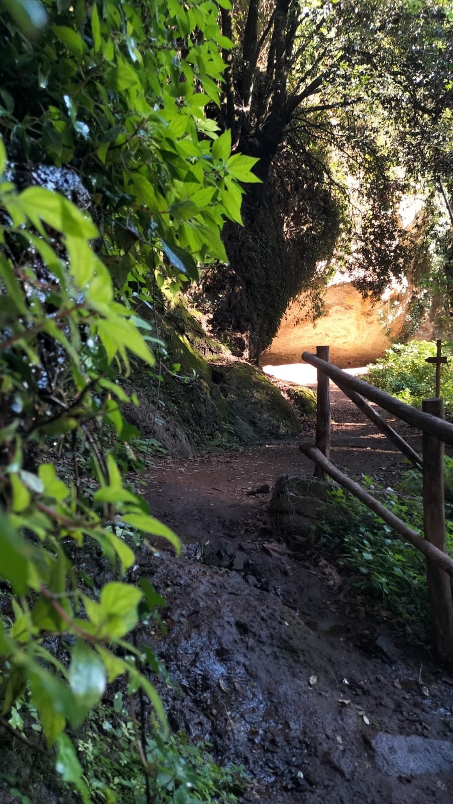 Trekking storico tra le forre di Corchiano: sulle orme dei Falisci - Discover Experience