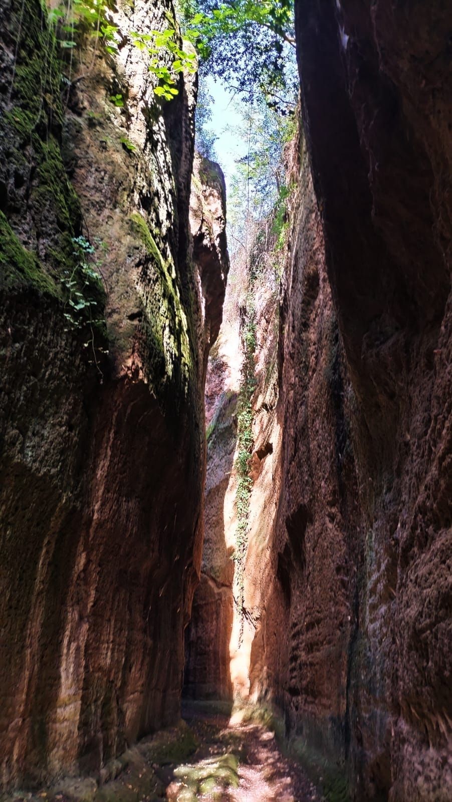 Trekking storico tra le forre di Corchiano: sulle orme dei Falisci - Discover Experience