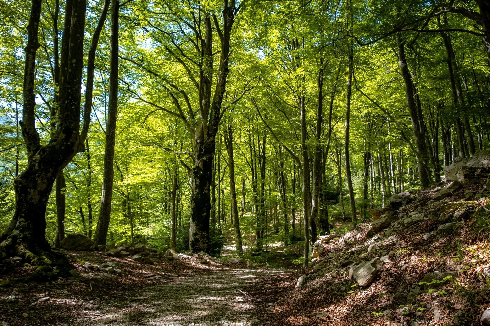 Viaggio lungo la Val Canneto: in tenda tra monte Irto e le sorgenti del Melfa - Discover Experience