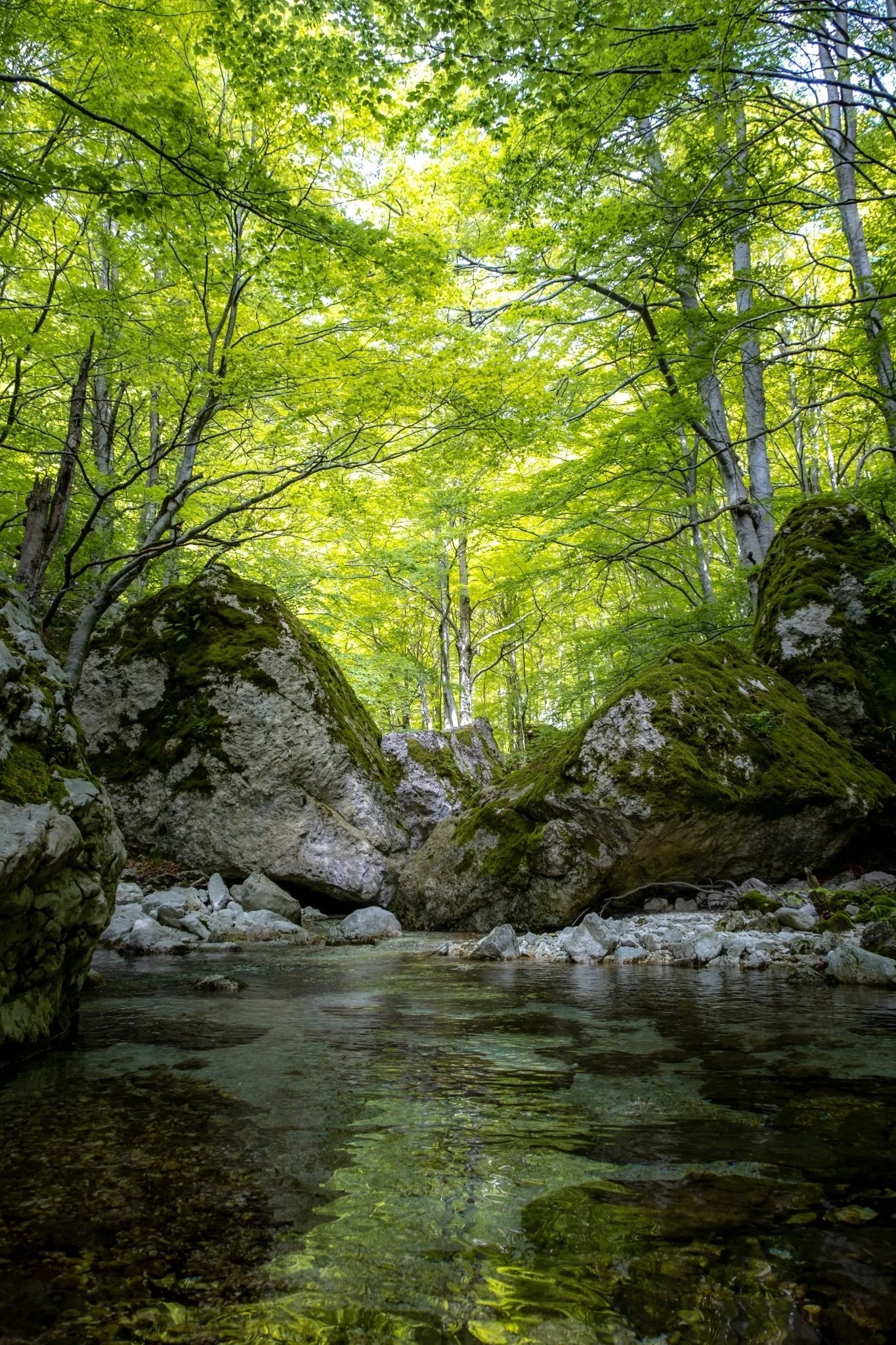 Viaggio lungo la Val Canneto: in tenda tra monte Irto e le sorgenti del Melfa - Discover Experience