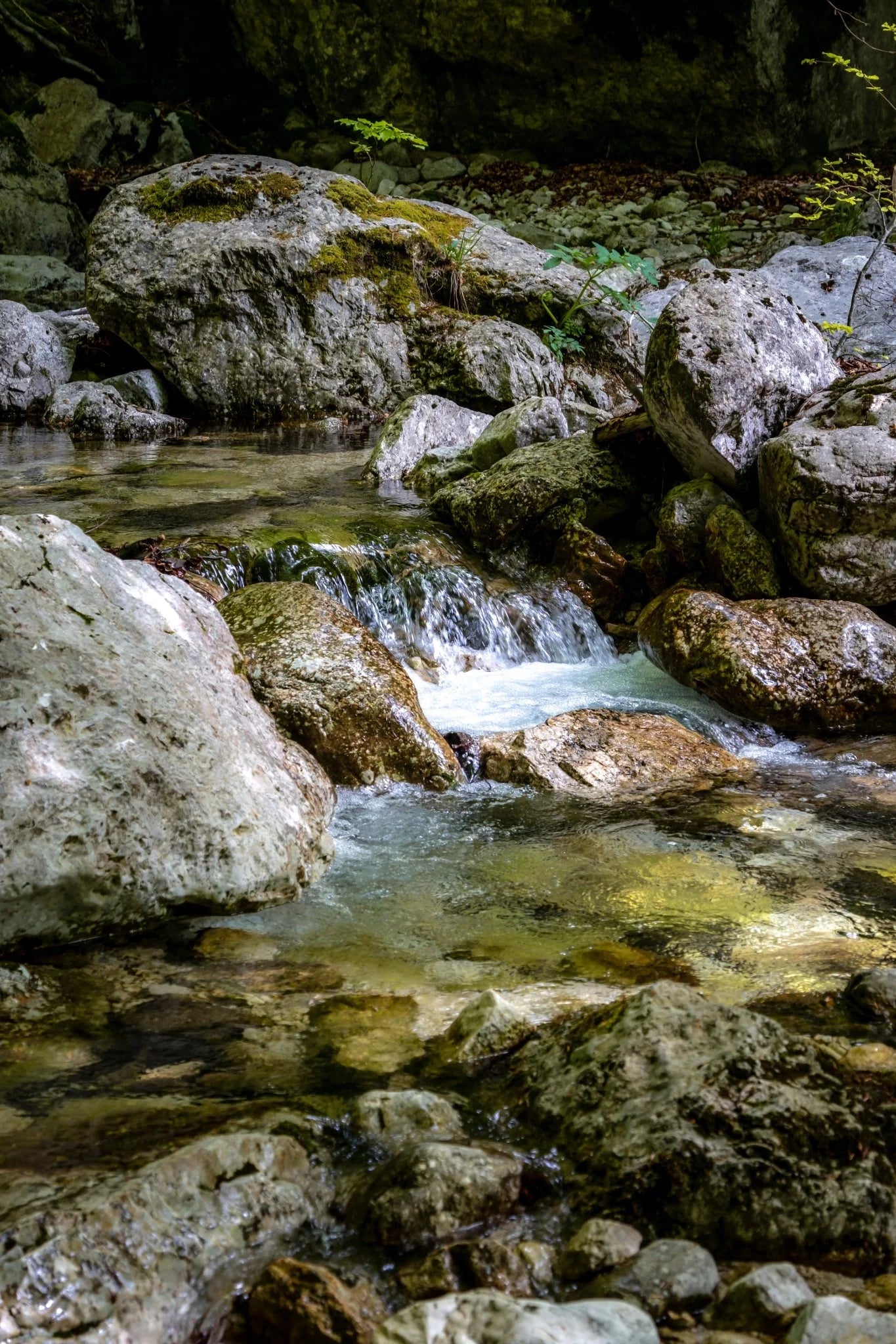 Viaggio lungo la Val Canneto: in tenda tra monte Irto e le sorgenti del Melfa - Discover Experience