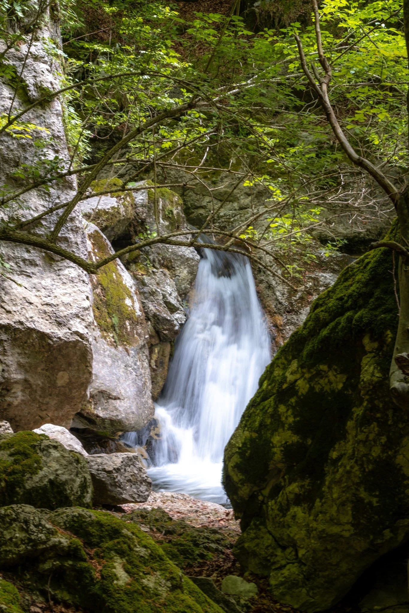 Viaggio lungo la Val Canneto: in tenda tra monte Irto e le sorgenti del Melfa - Discover Experience