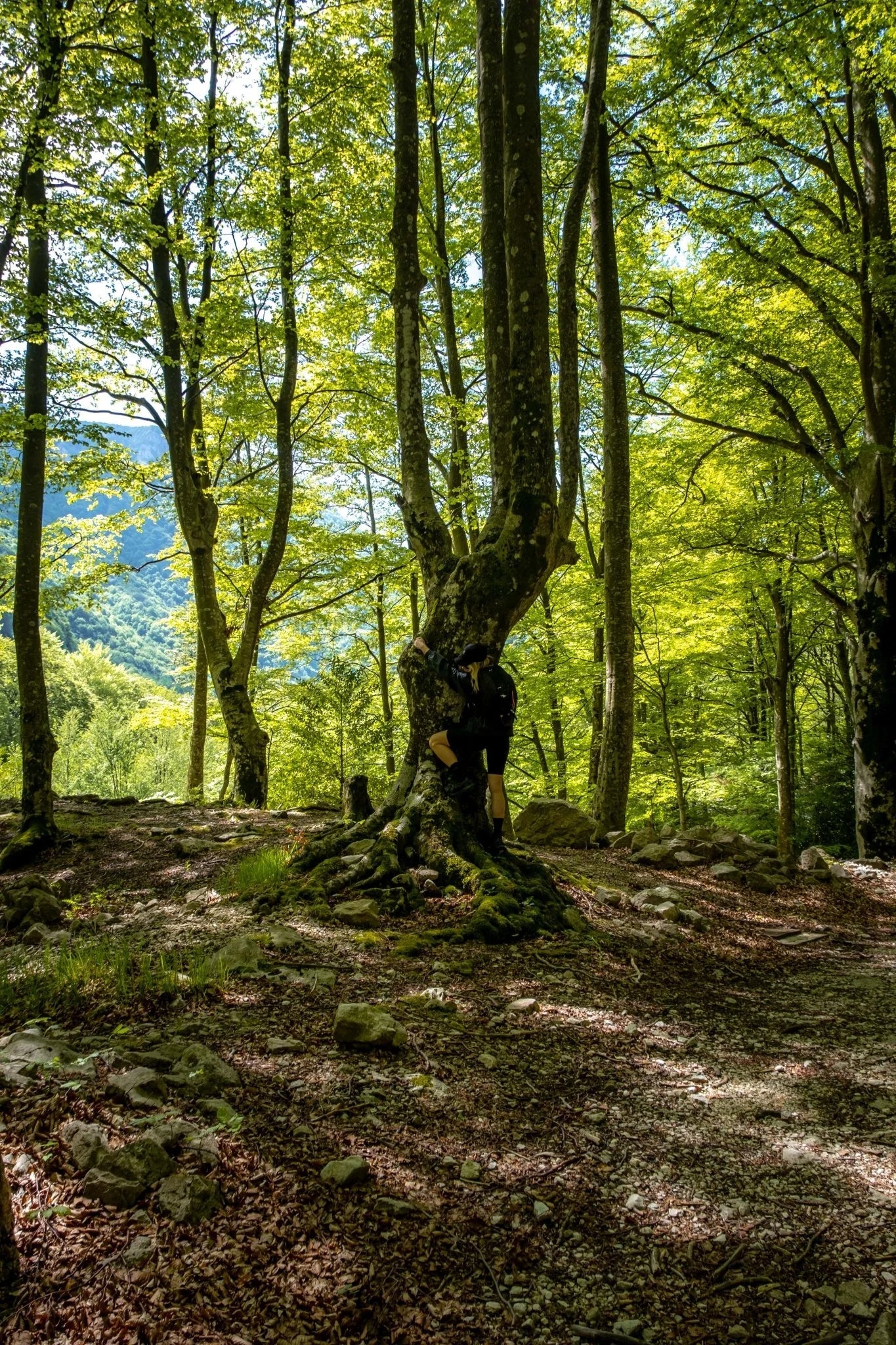 Viaggio lungo la Val Canneto: in tenda tra monte Irto e le sorgenti del Melfa - Discover Experience