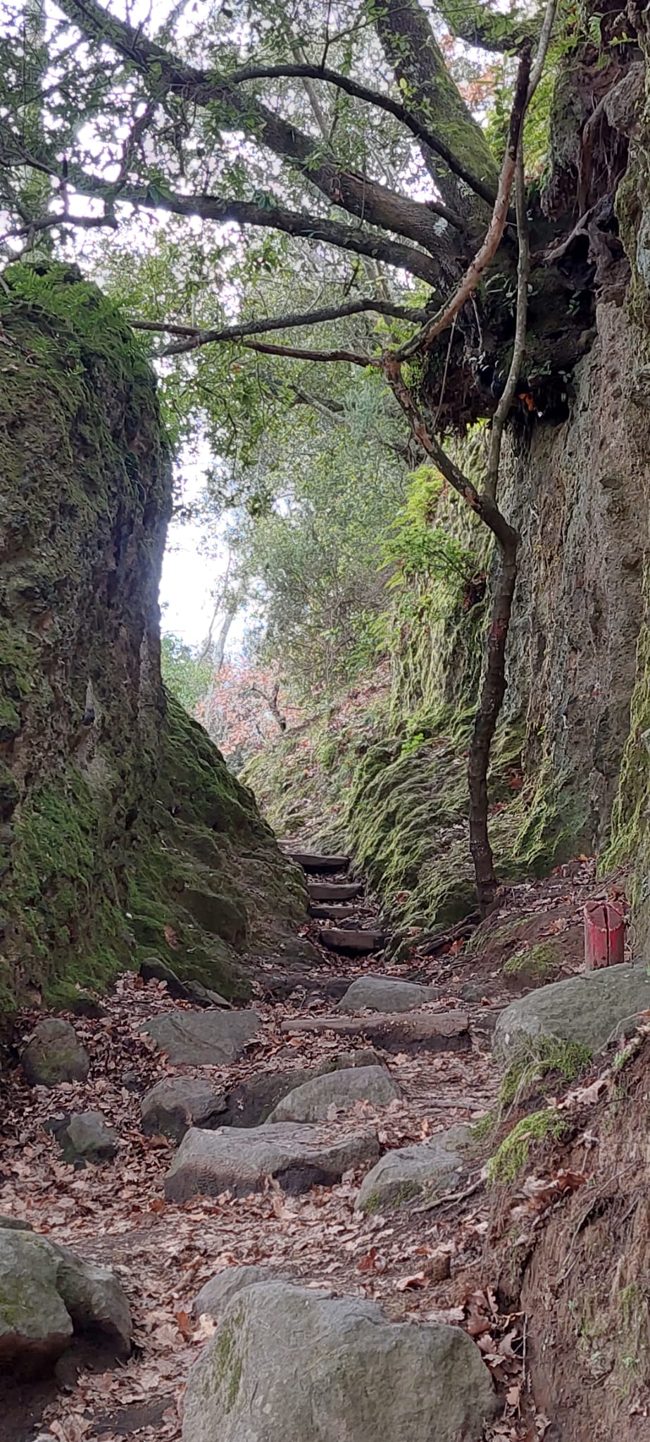 Yoga - Trek a Monterano, un’esperienza immersiva tra cascate e solfatare - Discover Experience