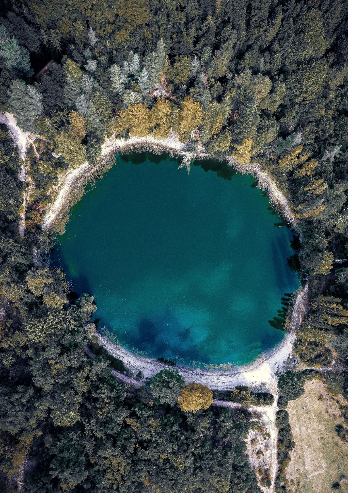 Yoga - Trek ai Lagustelli di Percile, un'immersione naturale a due passi da Roma - Discover Experience